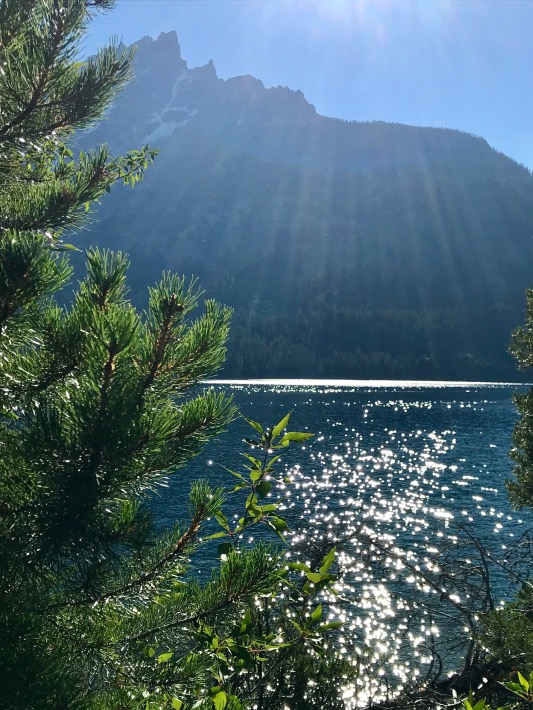 Tetons Sunbeams